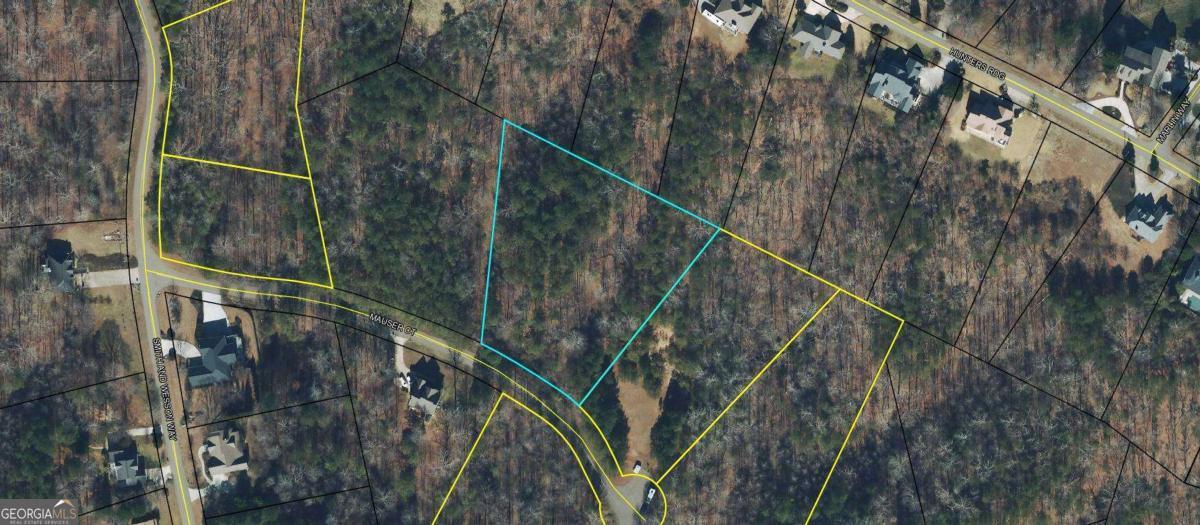 Property Photo: 0 Mauser Ct Lot 175 GA 30143