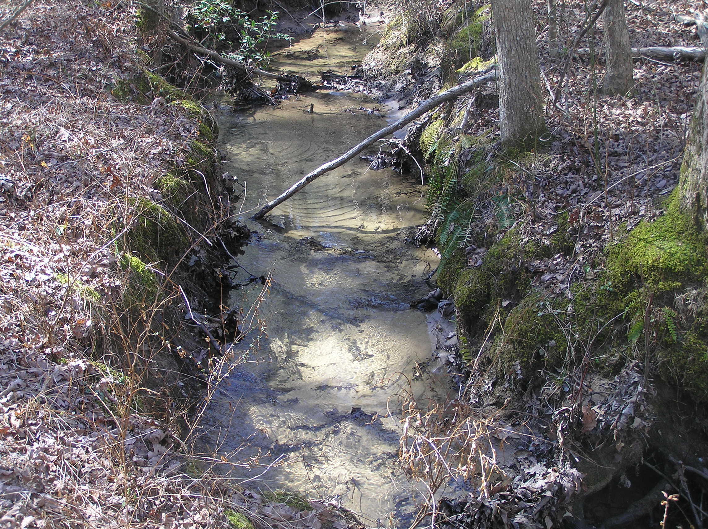 Property Photo: 66 Indian Trail Drive TN 38585