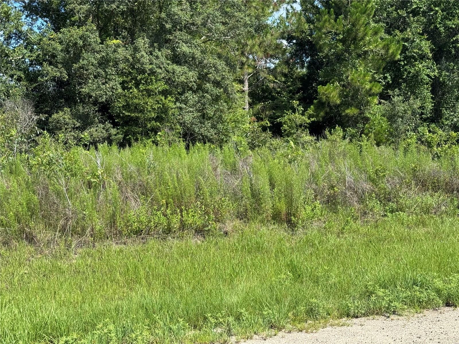Property Photo: 413 E Parker Loop FL 34434