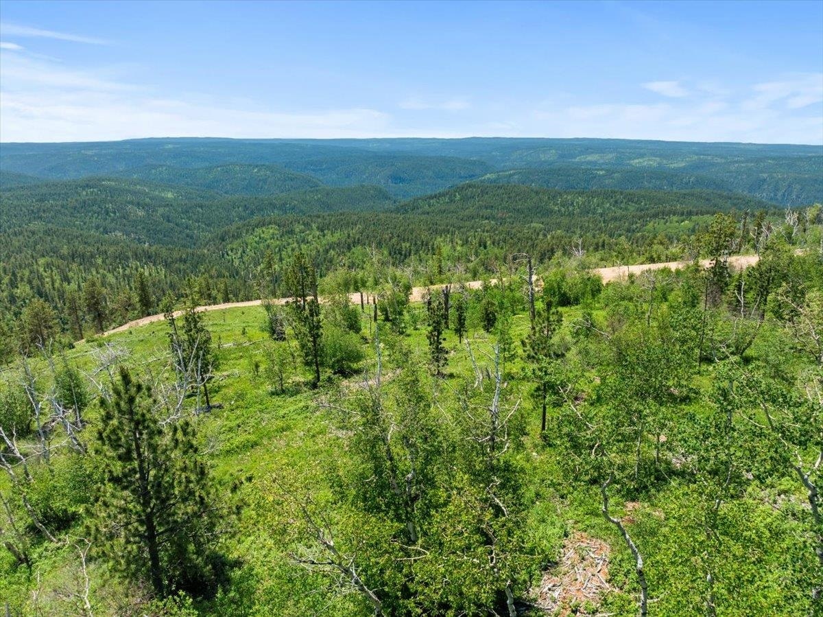 Property Photo:  Lot 7 Wapiti Road  SD 57754 