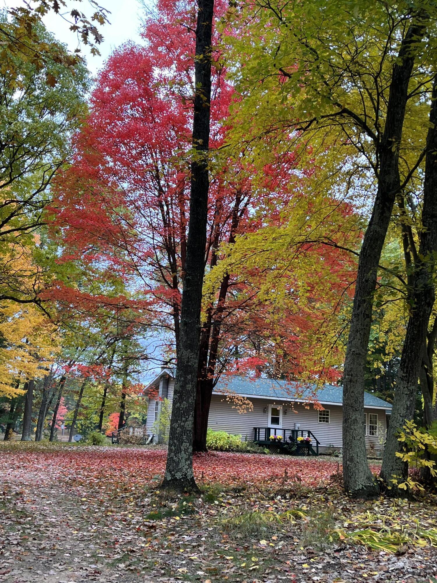 Property Photo: 17924 Round Lake Road MI 49689