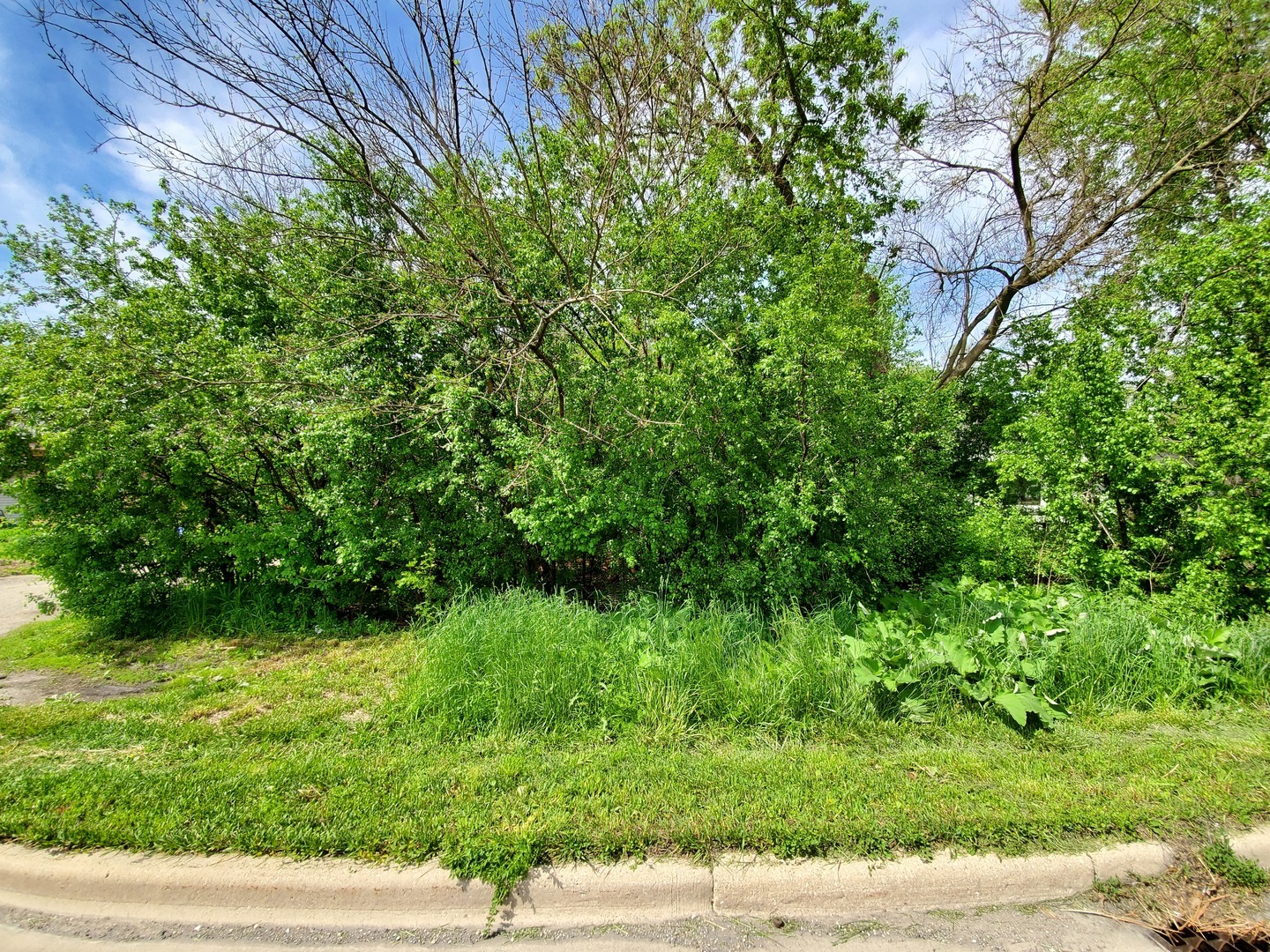 Property Photo: 2059 W Roosevelt Road IL 60187