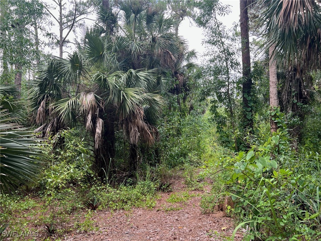 Property Photo:  3825 13th Avenue SW  FL 34117 