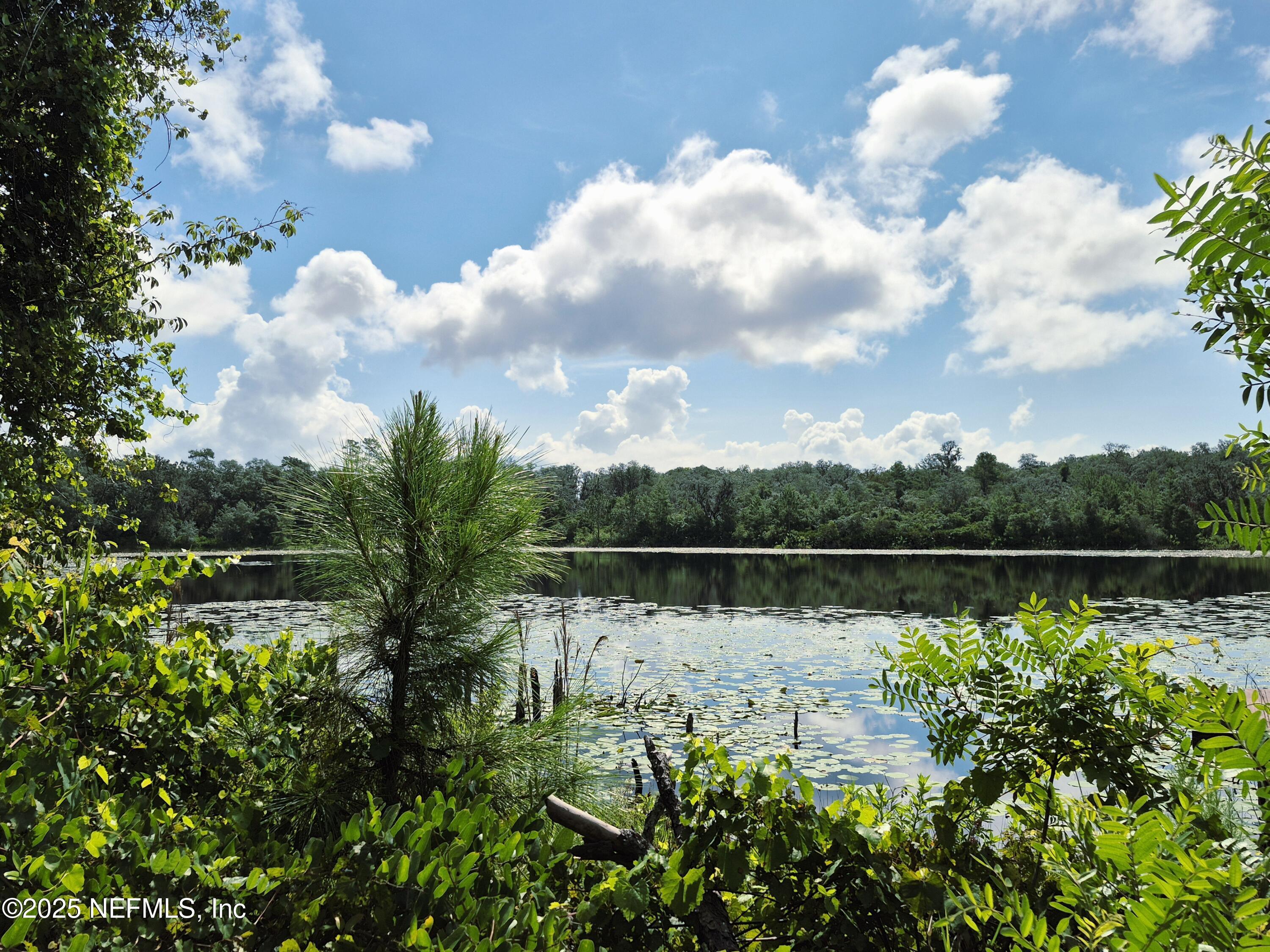 Property Photo:  282 Byrd Road  FL 32112 