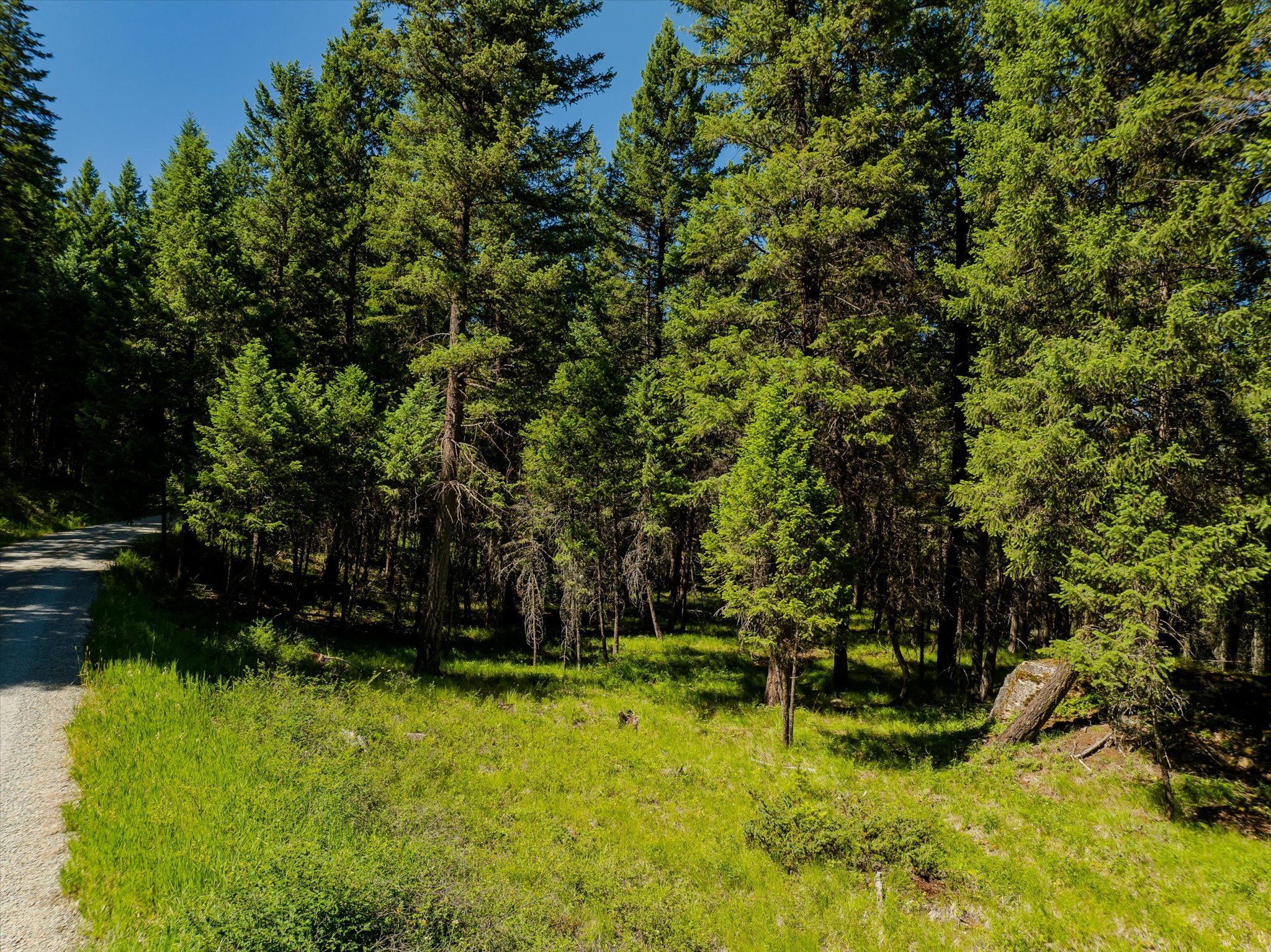 Property Photo: Nhn Rocky Point Road MT 59901