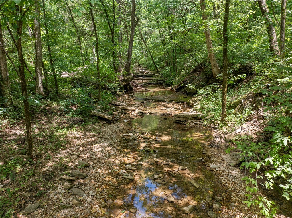 Tbd Nc 2900 Avenue  Marble Falls AR 72648 photo