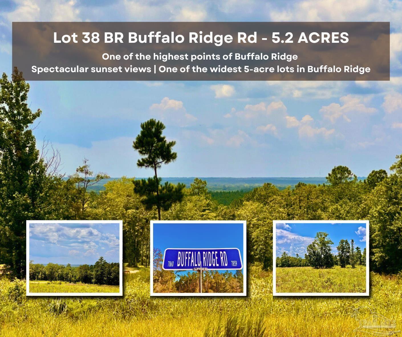 Lot 38 Br Buffalo Ridge Rd  Pace FL 32571 photo