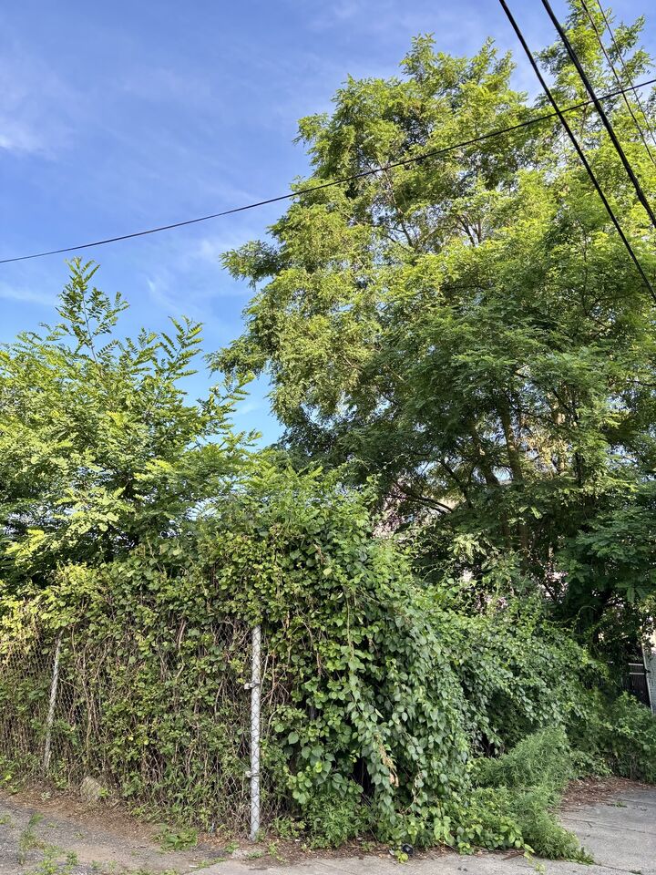 90 Lee Avenue  Bridgeport CT 06605 photo