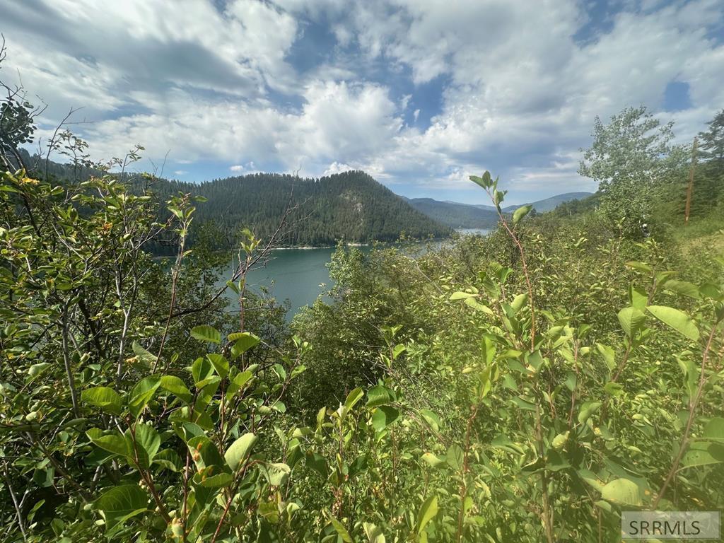 Property Photo:  Lot 10 Why Worry Lane  ID 83428 
