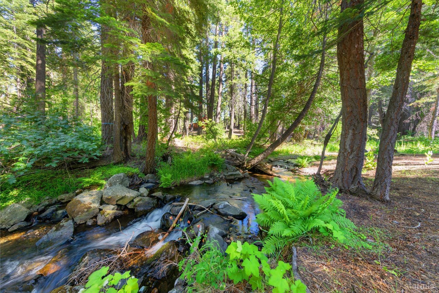 Property Photo:  1900 Alliklik Road  CA 96150 