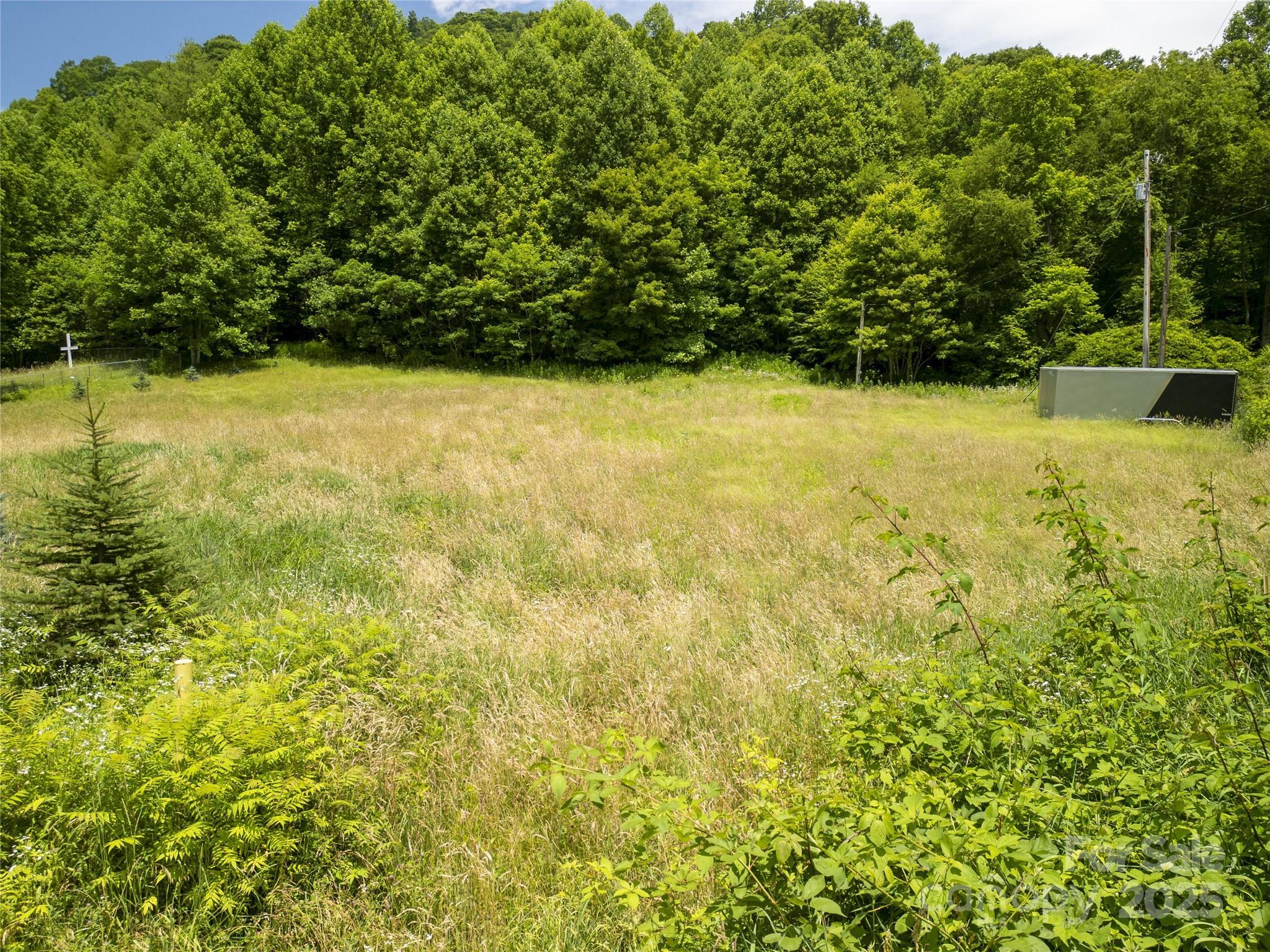 Property Photo: 168 Smith Creek Road NC 28754