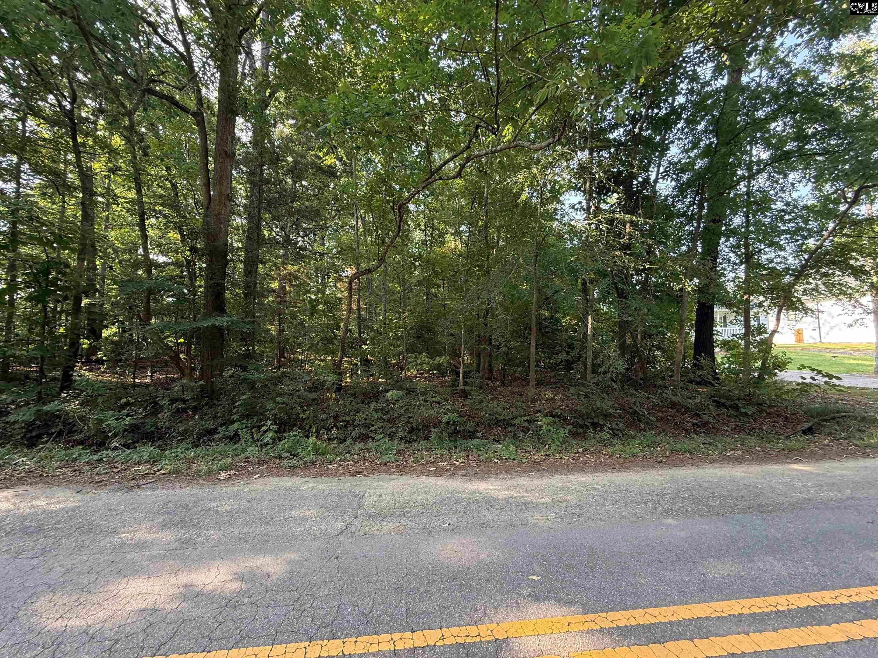Property Photo: 533 Newberry Dr SC 29036