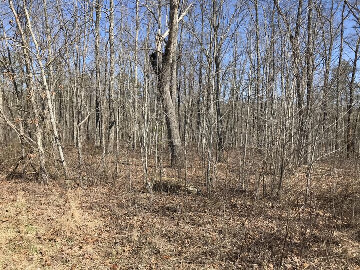 Property Photo: 3 Deerhead Road TN 37327