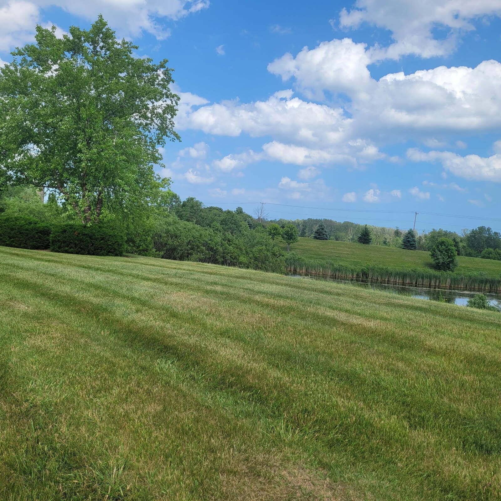 Property Photo: 2097 Willow Pond Way WI 53024