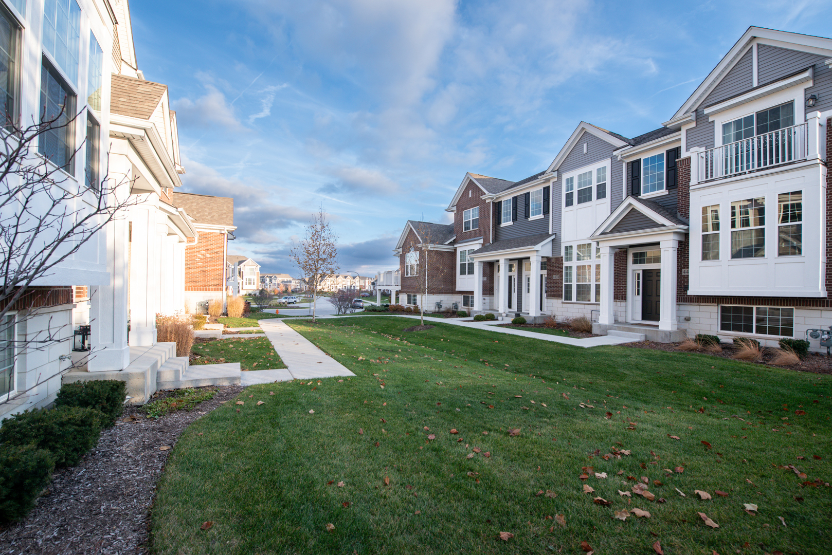 Property Photo: 4477 Monroe Court IL 60564