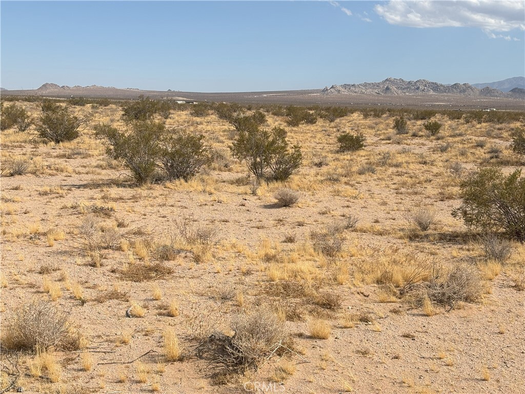 Property Photo: 0 Saxon Road CA 92356
