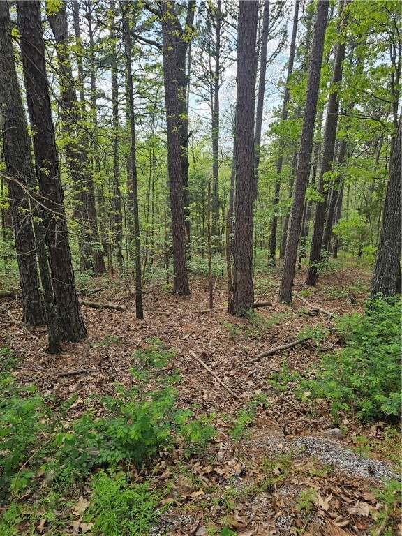 Property Photo: Tbd Belvoir Lane AR 72715