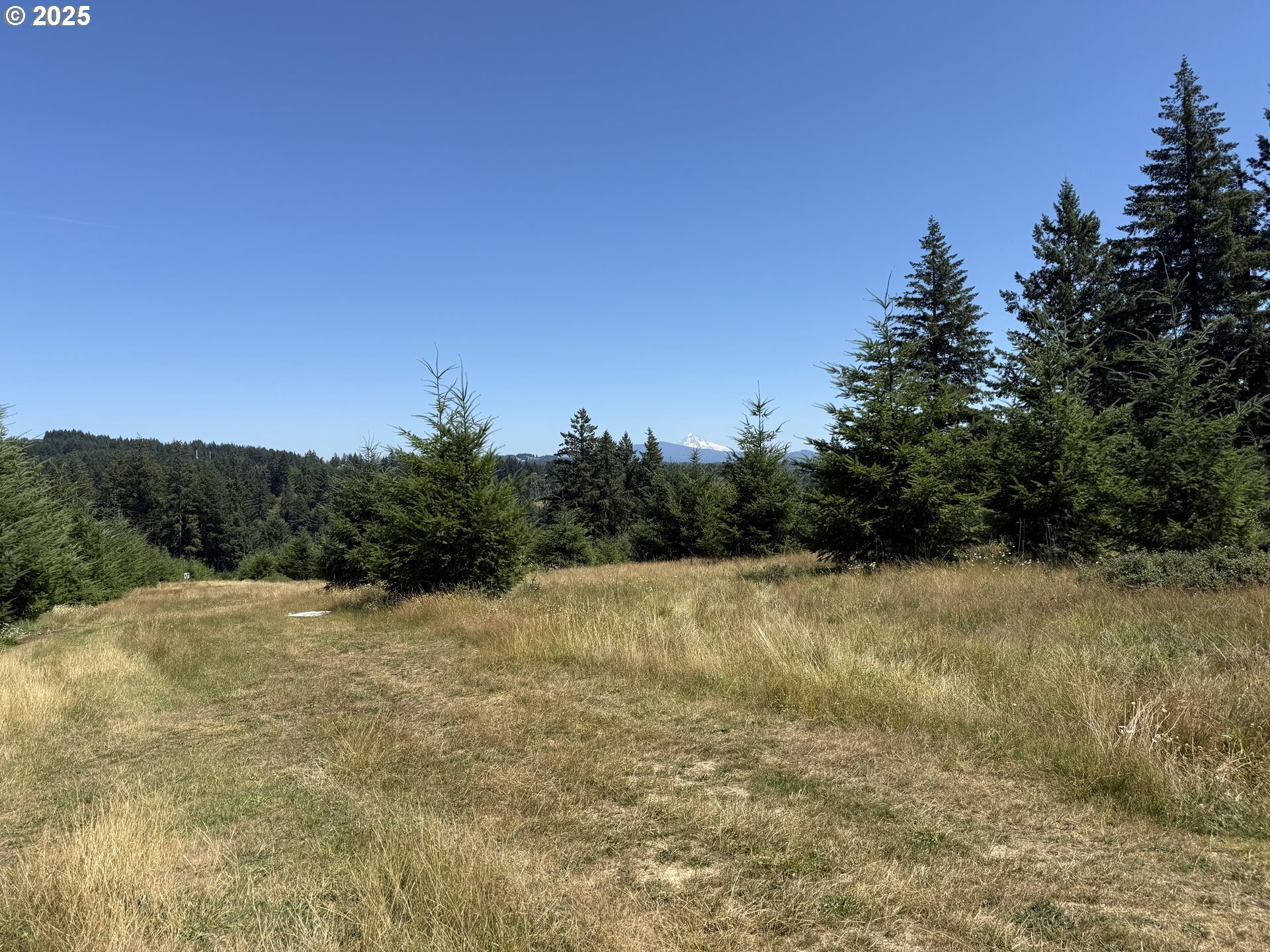 0 NE 277th Ave  Camas WA 98607 photo
