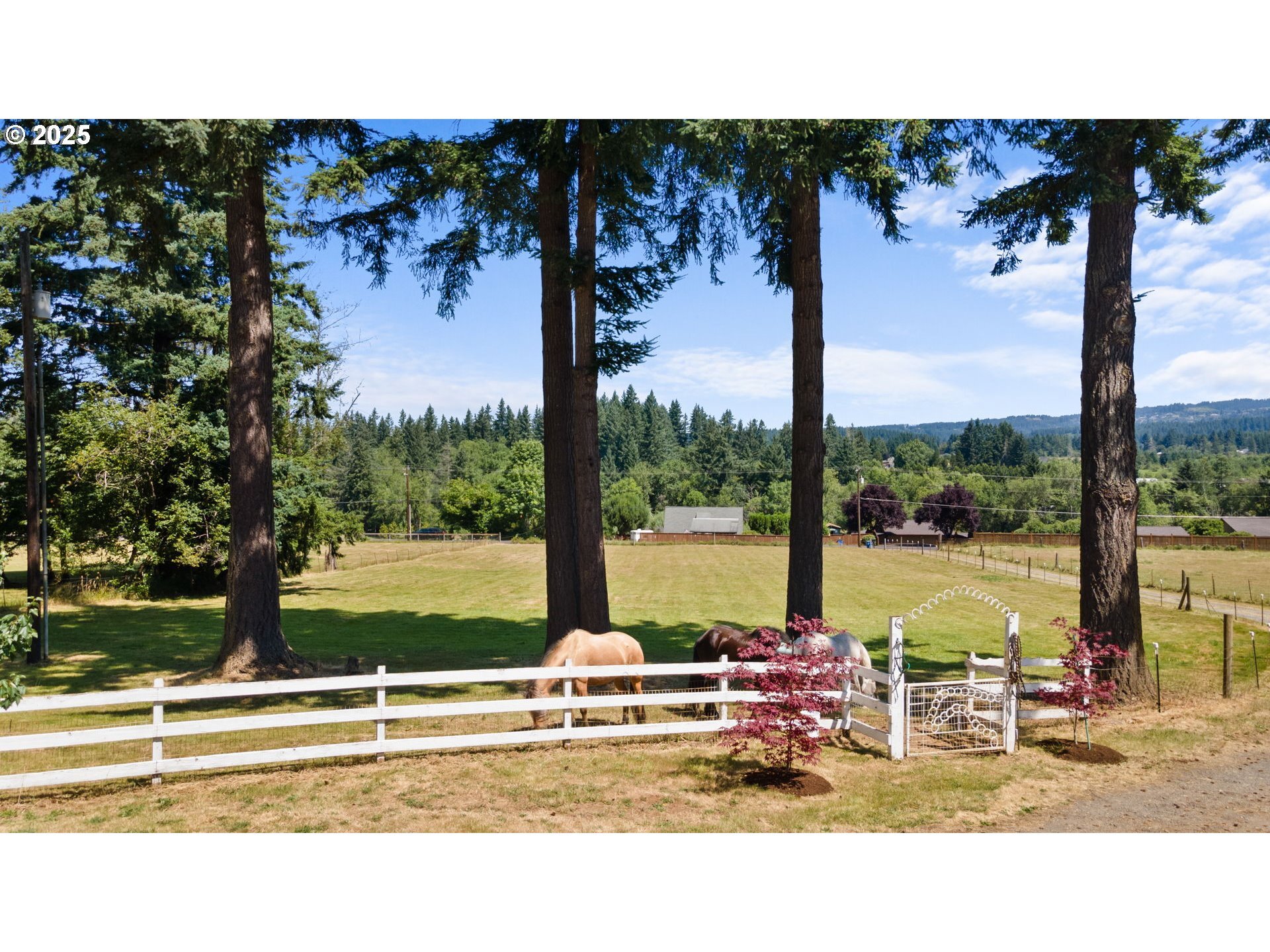 Property Photo: 21423 NE 68th St WA 98682