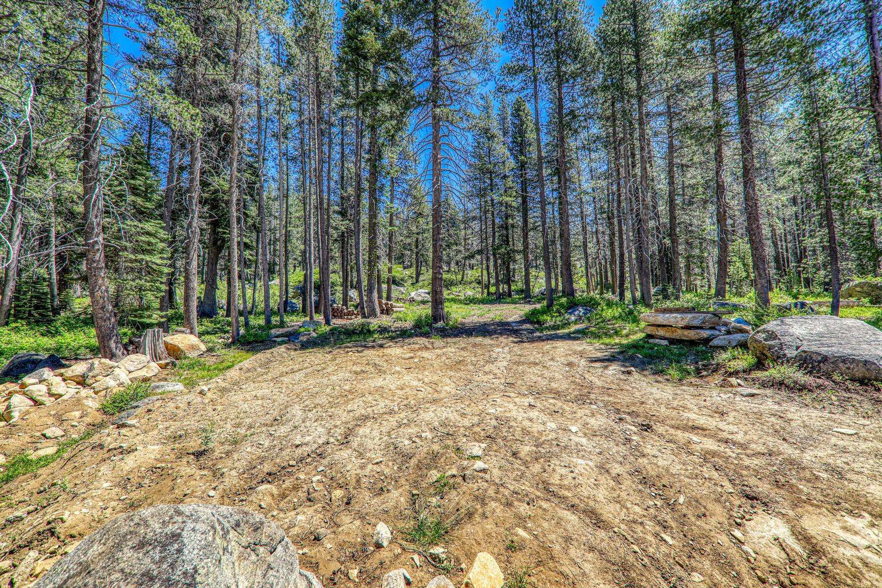 Property Photo: 10019 Bunny Hill Road CA 95728