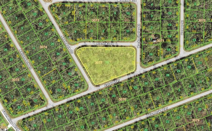 15167 Plant Avenue  Port Charlotte FL 33953 photo