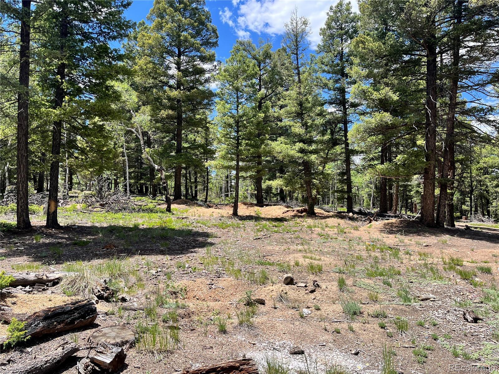 Property Photo: 1002 Indian Creek Road CO 80816