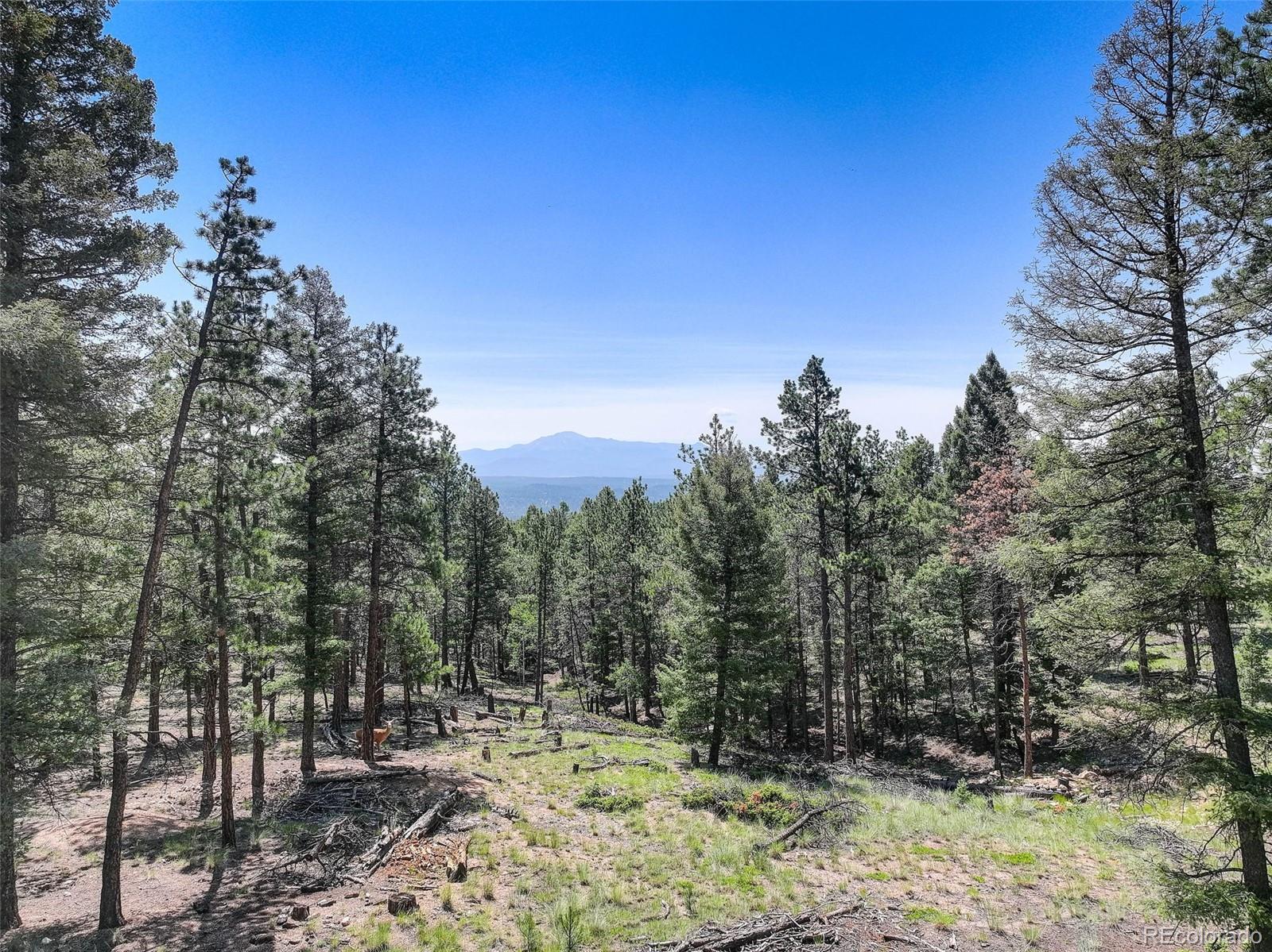 1002 Indian Creek Road  Florissant CO 80816 photo