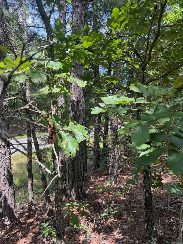 Property Photo:  000 Burnt Ridge  AR 72153 