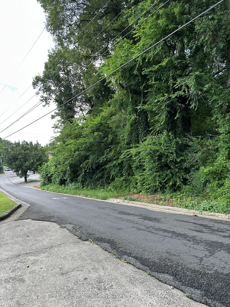 Property Photo: 0 Hawthorne Street GA 30720