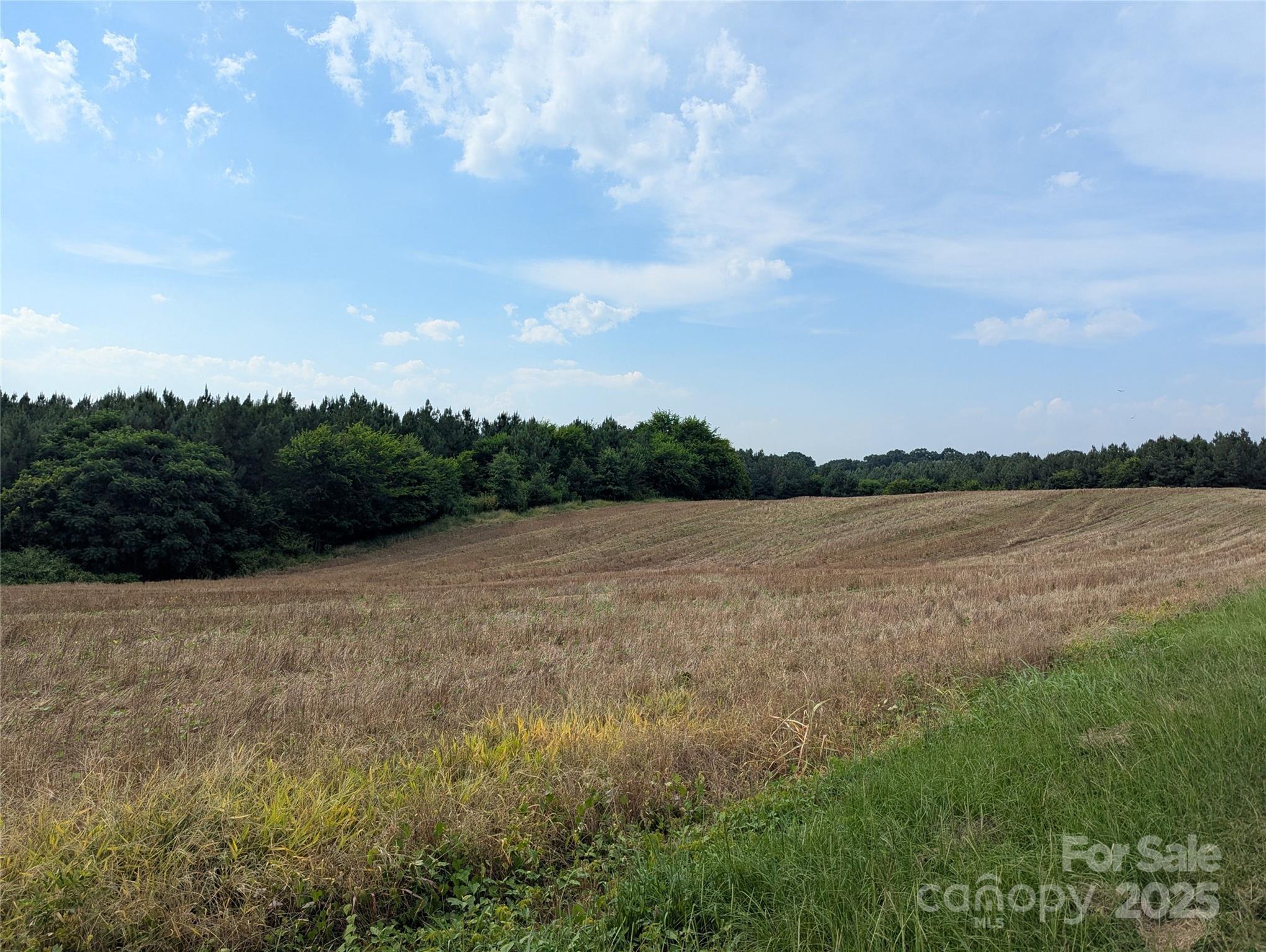 Property Photo: 1455 Blonnie Ross Road NC 28135