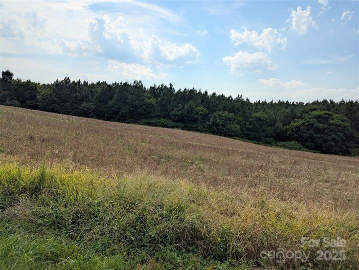 Property Photo:  1455 Blonnie Ross Road  NC 28135 