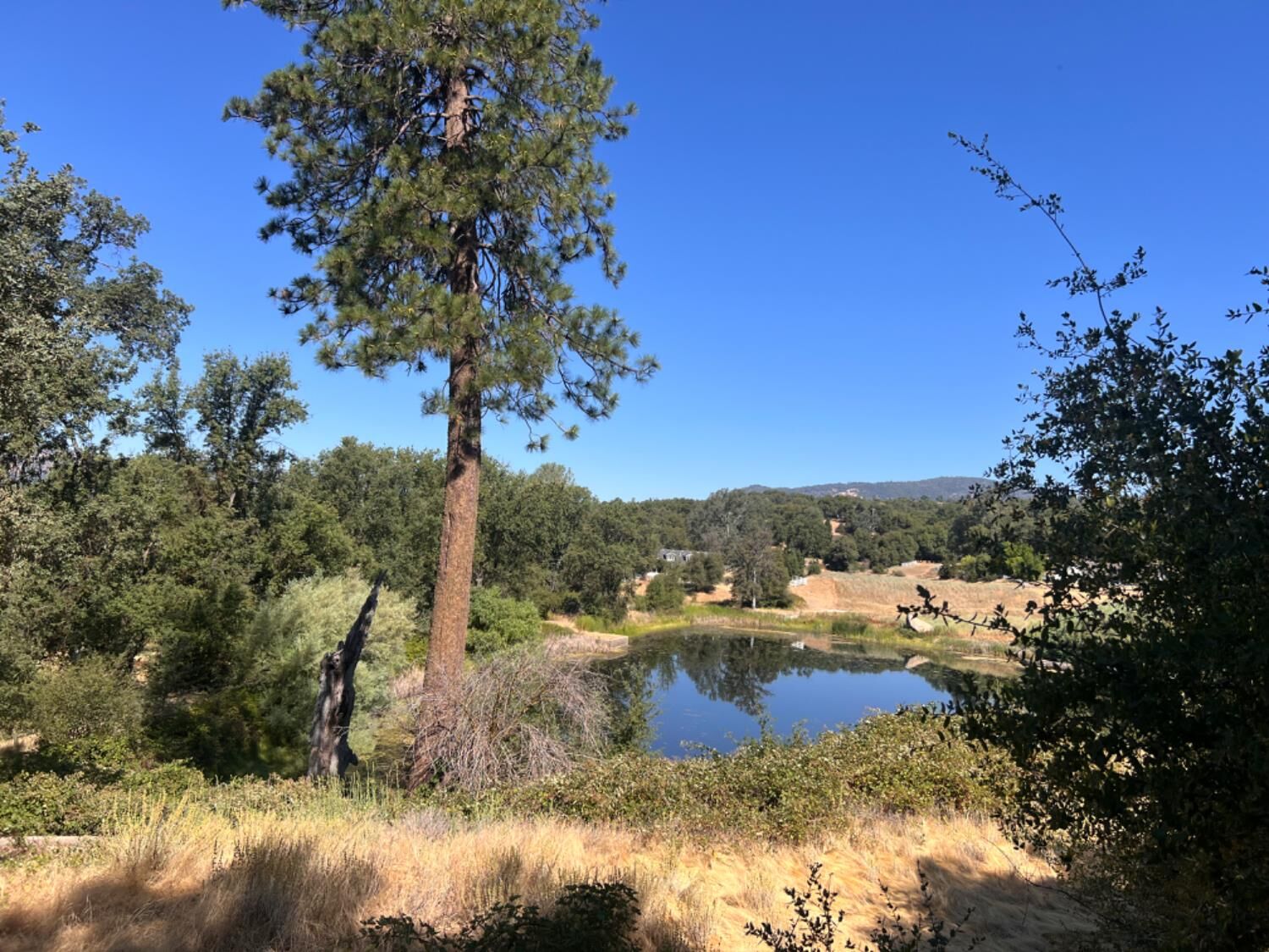 Property Photo:  16 Lulniu Lane  CA 93601 