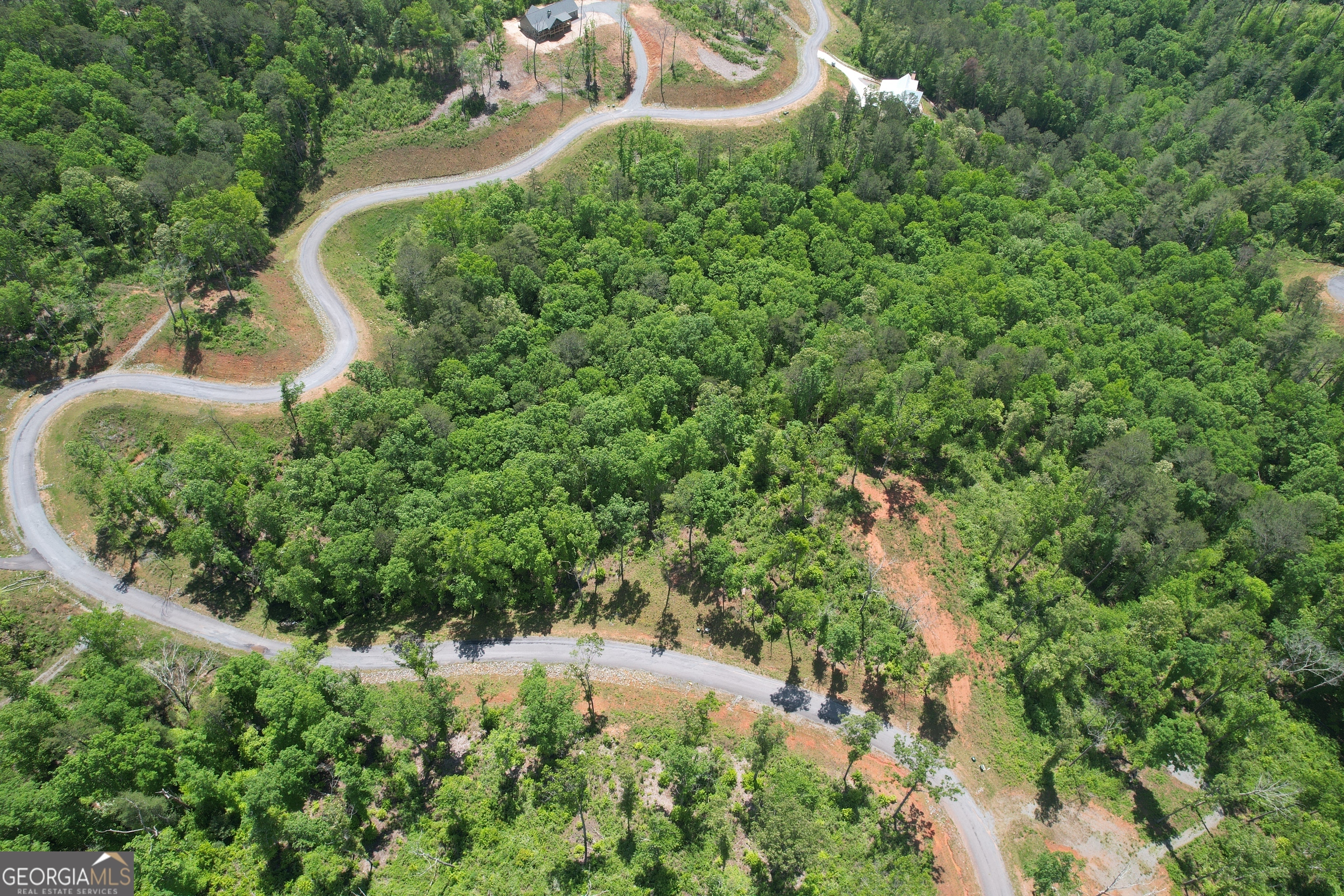 0 Canoe Point  Ellijay GA 30540 photo