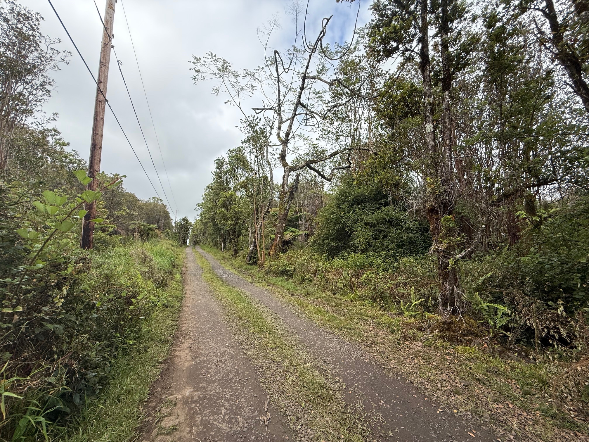 Property Photo: Road 9 HI 96785