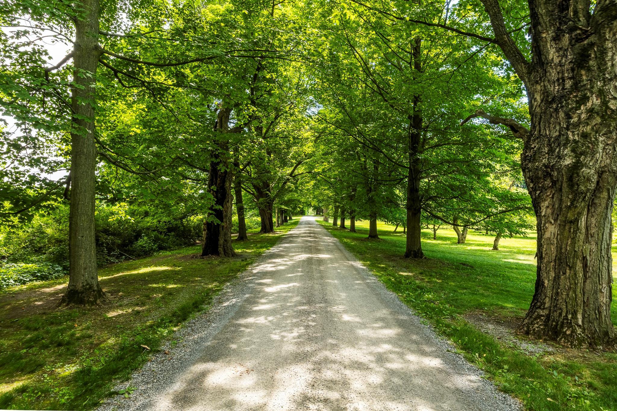 Property Photo: 199 Eichybush Road NY 12106