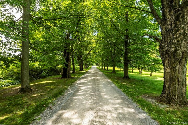 Property Photo:  199 Eichybush Road  NY 12106 