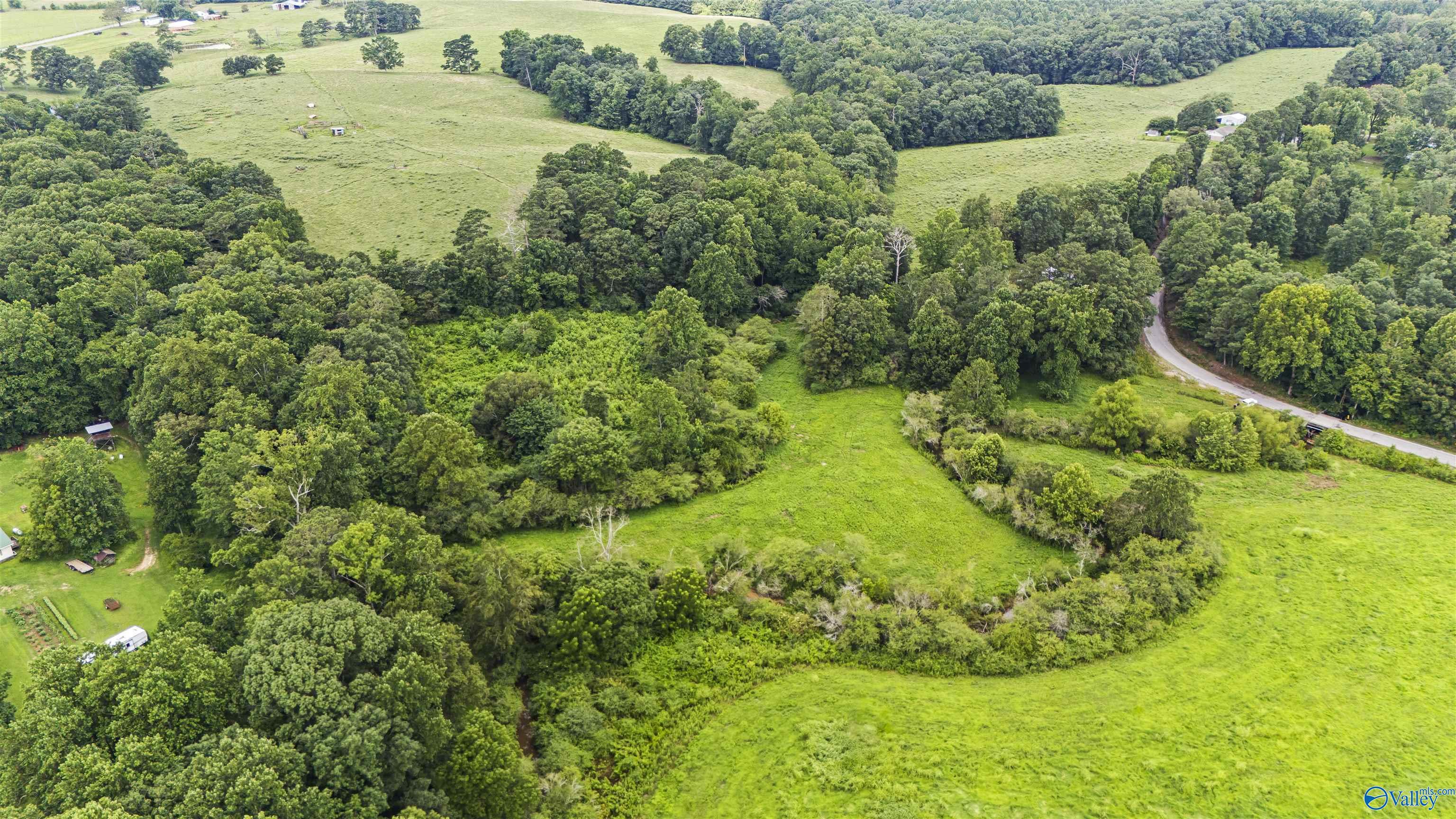 6.49 Acres County Road 1108  Vinemont AL 35179 photo