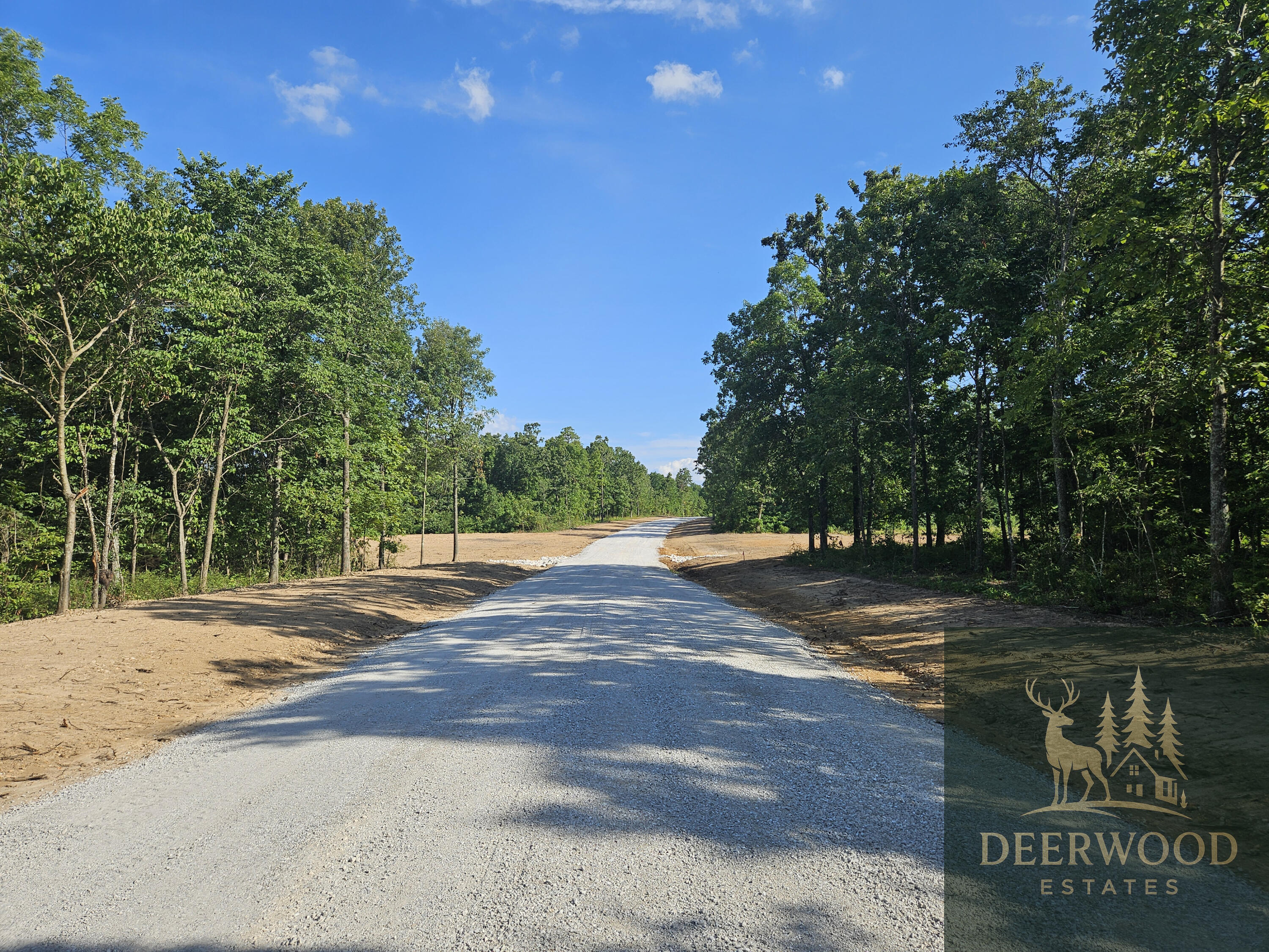 Lot 13 Deerwood Estates  Aurora MO 65605 photo