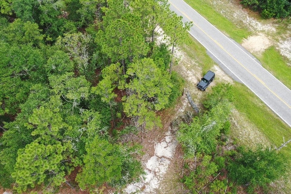 Property Photo: 45 Old Federal Road FL 32351