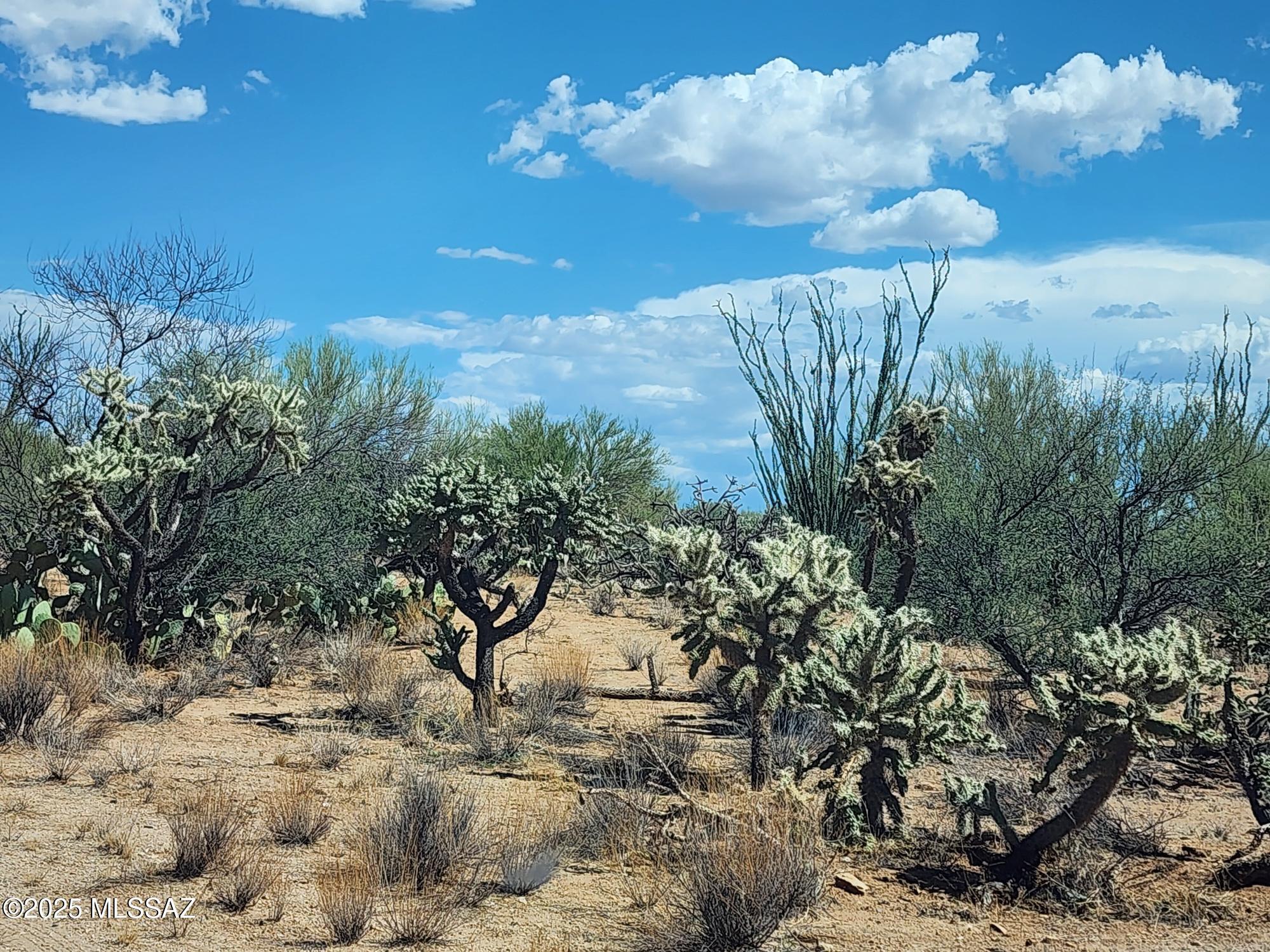 Property Photo: 16163 W Montrose Avenue 186 AZ 85736