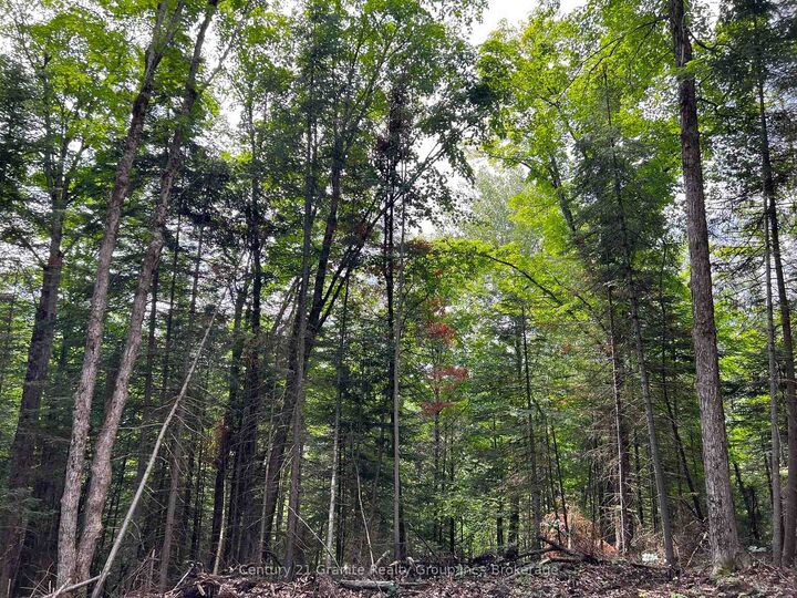 Property Photo:  Lot 26 West Court  ON K0M 1S0