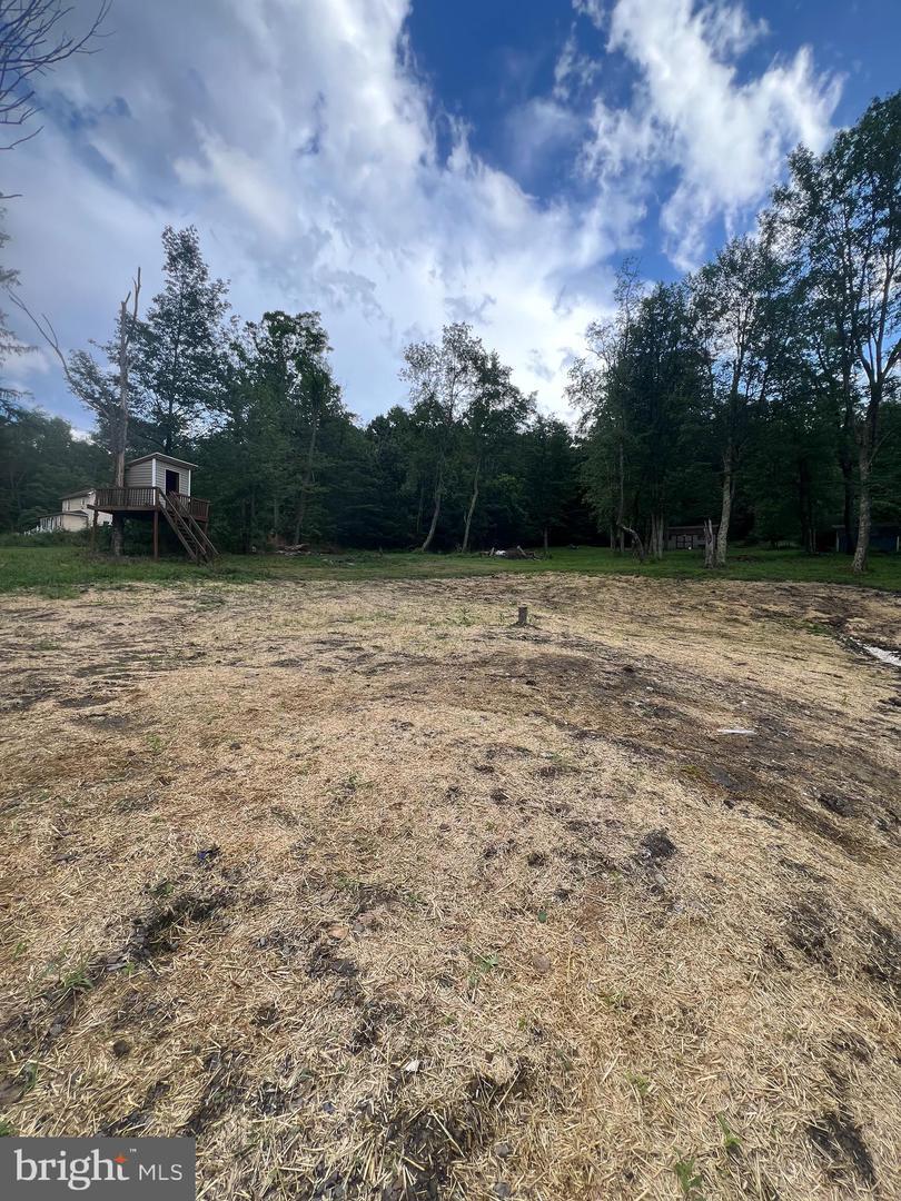 Property Photo: 19402 Old Dans Rock Road MD 21542