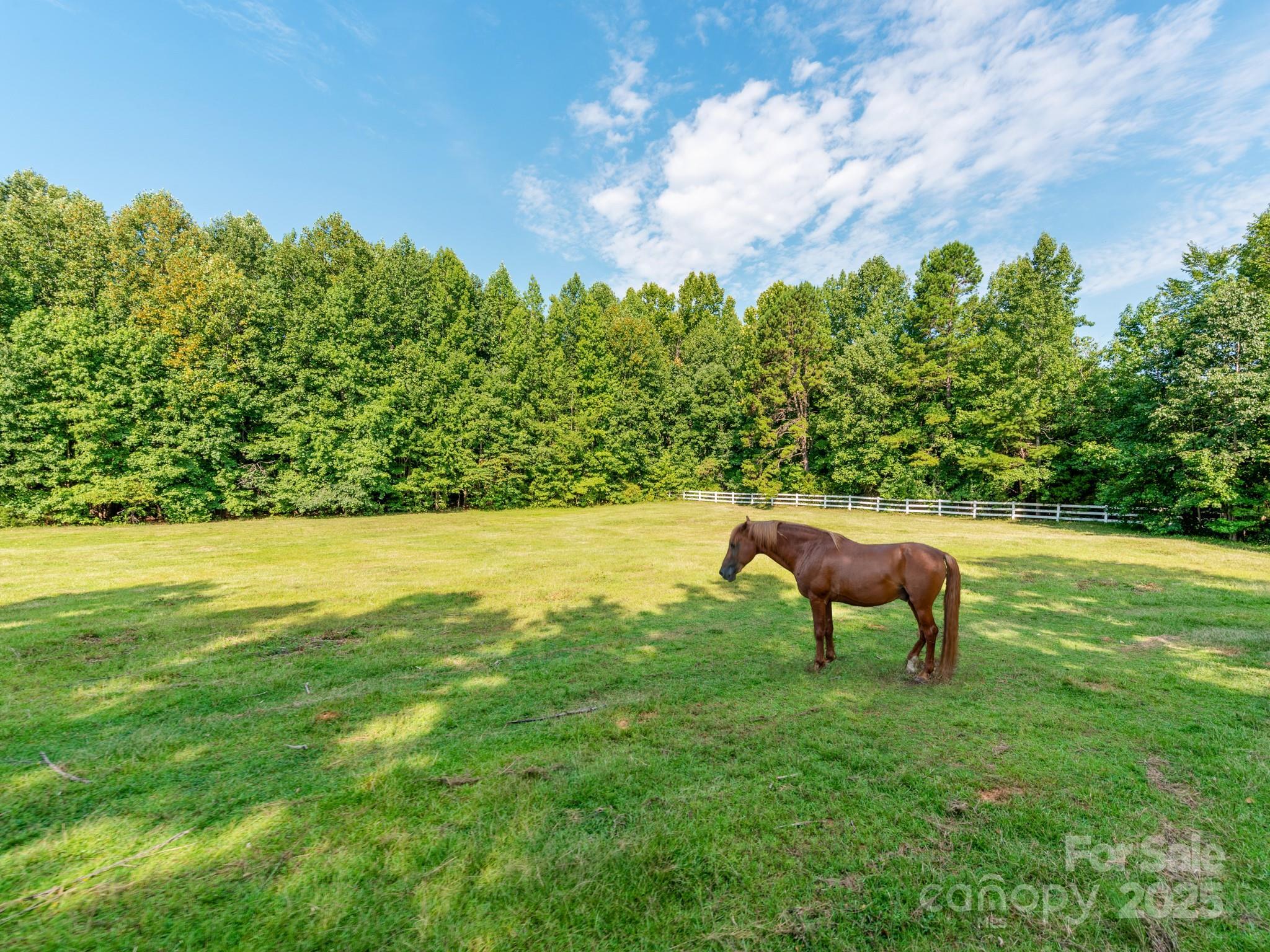 Property Photo: 8600 Haydens Way NC 28025