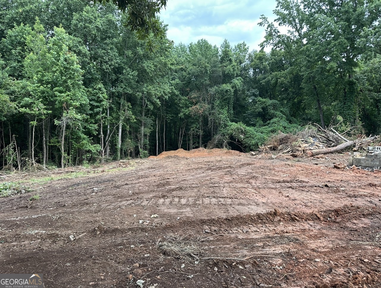 Property Photo: 0 County Road 61 AL 36274