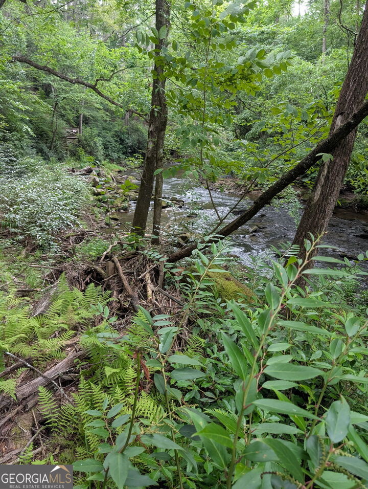 Property Photo: Lt 32 Byers Road GA 30512