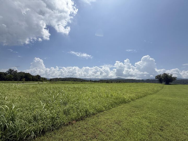 Property Photo: 0 River Ridge Drive TN 37327
