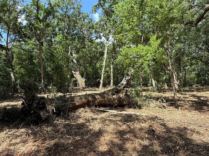 Property Photo:  17480 County Road 945  TX 77422 
