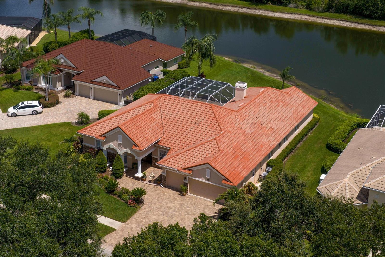Property Photo: 17923 Arbor Haven Drive FL 33647