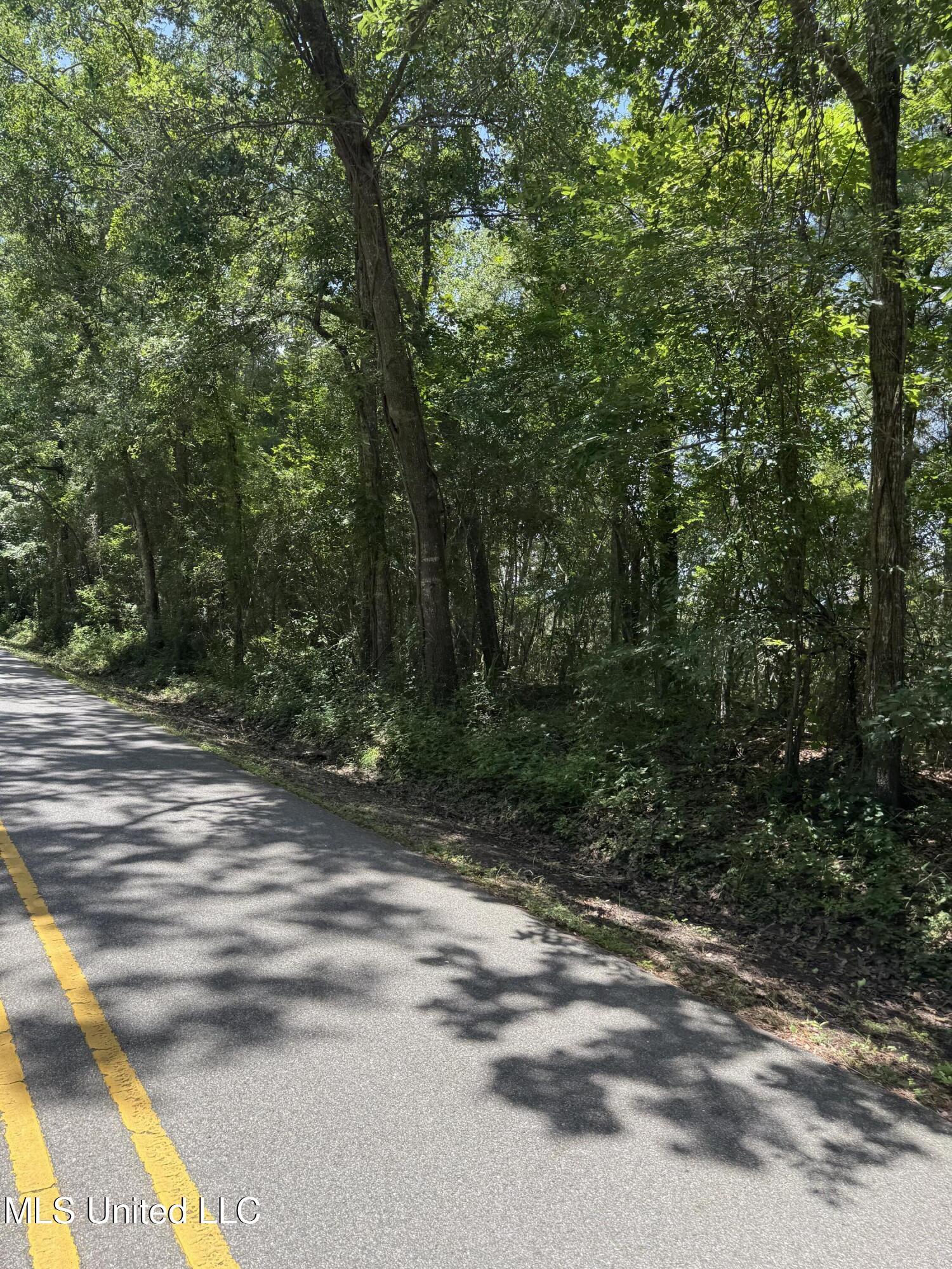 Property Photo: Nhn North St Lot 7 MS 39564