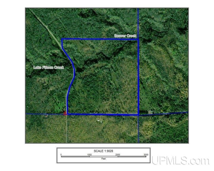 Property Photo:  9692 N Laird Road  MI 49958 